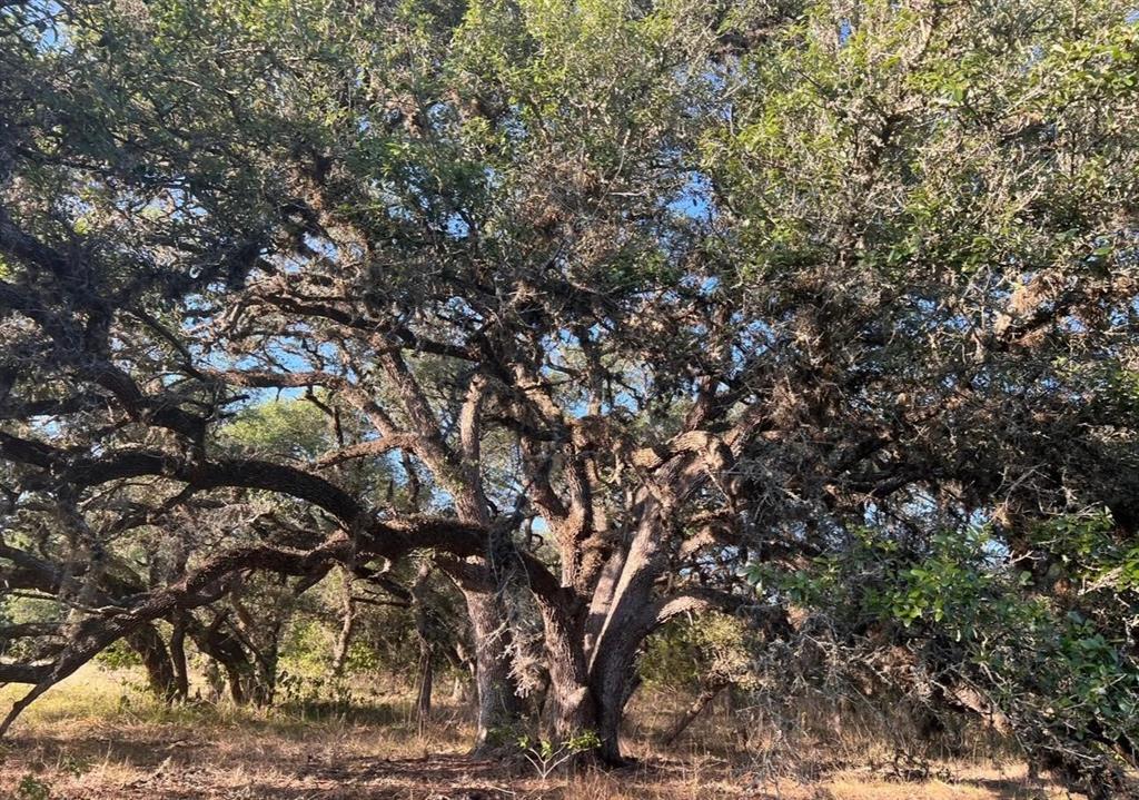 TBD Fm-530, Hallettsville, Texas image 18