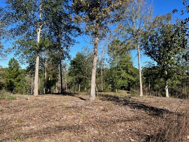 TBD LOT 27 Addison Rd, Livingston, Texas image 4