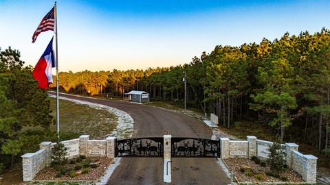 Photo of 15 Magnolia Ranch Road, Onalaska, TX 77360 (MLS # 66368793)