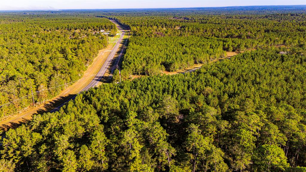 015 Magnolia Ranch Road, Onalaska, Texas image 5