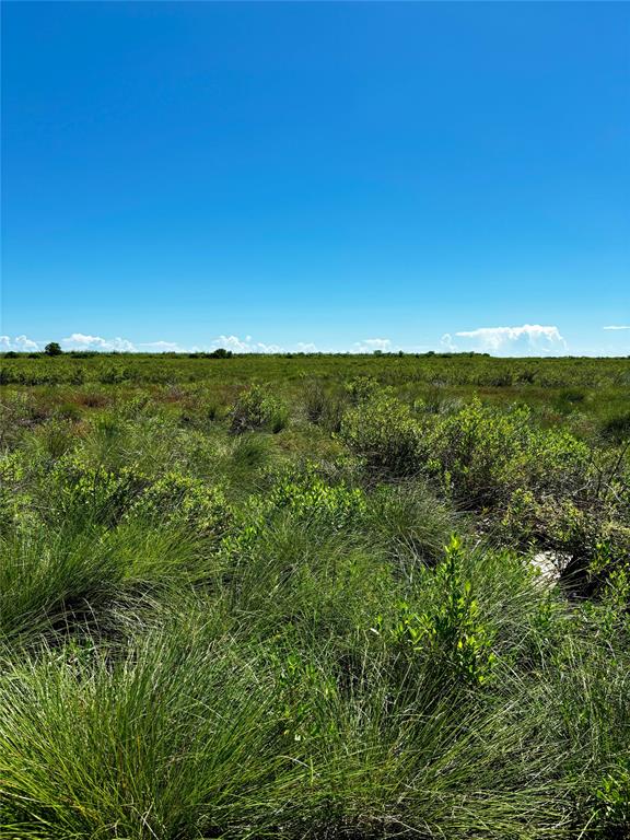 Fm-2918, Brazoria, Texas image 8