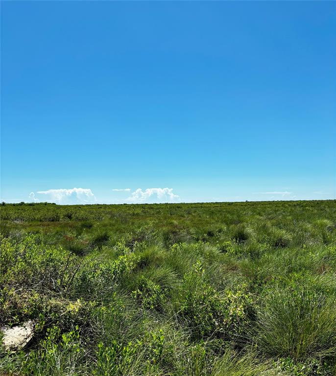 Fm-2918, Brazoria, Texas image 3