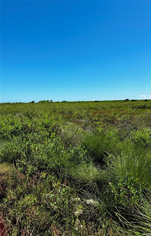 Fm-2918, Brazoria, Texas image 7