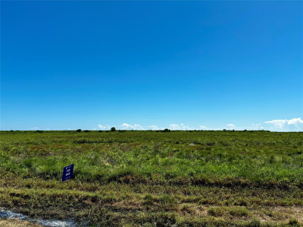 Fm-2918, Brazoria, Texas image 2