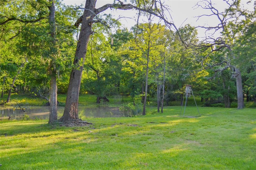 4 Cross St, Trinity, Texas image 31