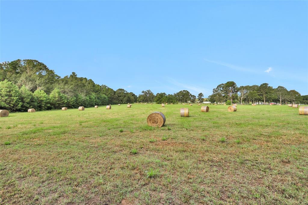 TBD W Fm 2693 Road W, New Waverly, Texas image 6