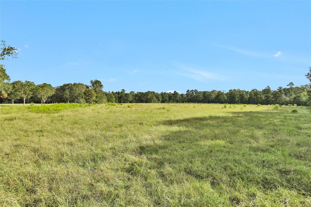 TBD W Fm 2693 Road W, New Waverly, Texas image 10