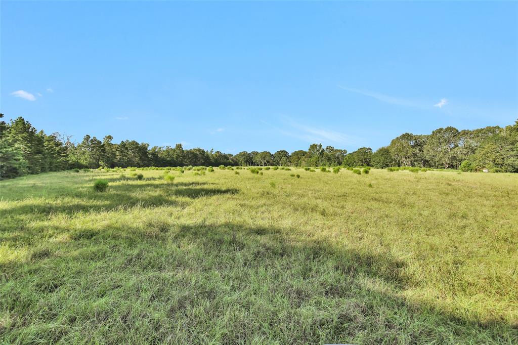 TBD W Fm 2693 Road W, New Waverly, Texas image 11