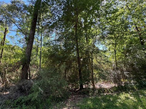 Vacant Land For Sale - 28 Laurel Oak<br/> Trinity, TX 75862