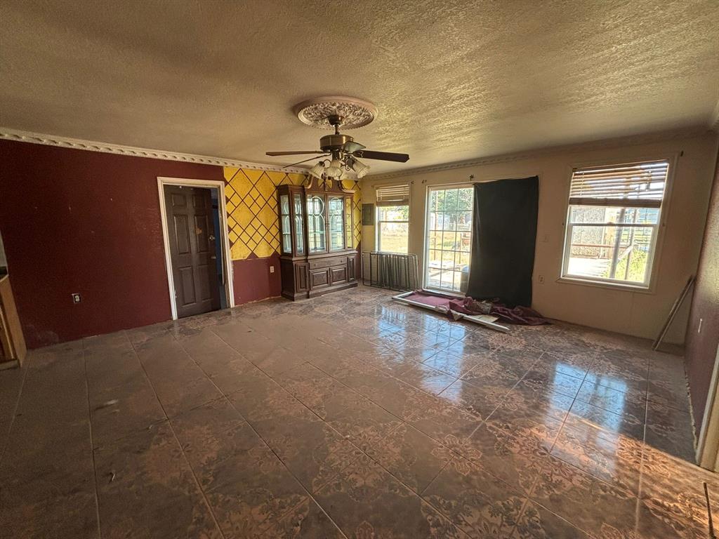 1205 14th Street, Seagraves, Texas image 6