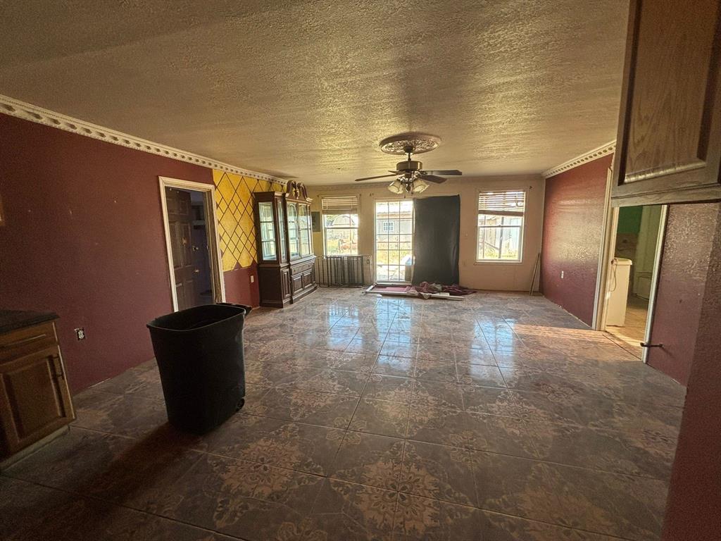 1205 14th Street, Seagraves, Texas image 7