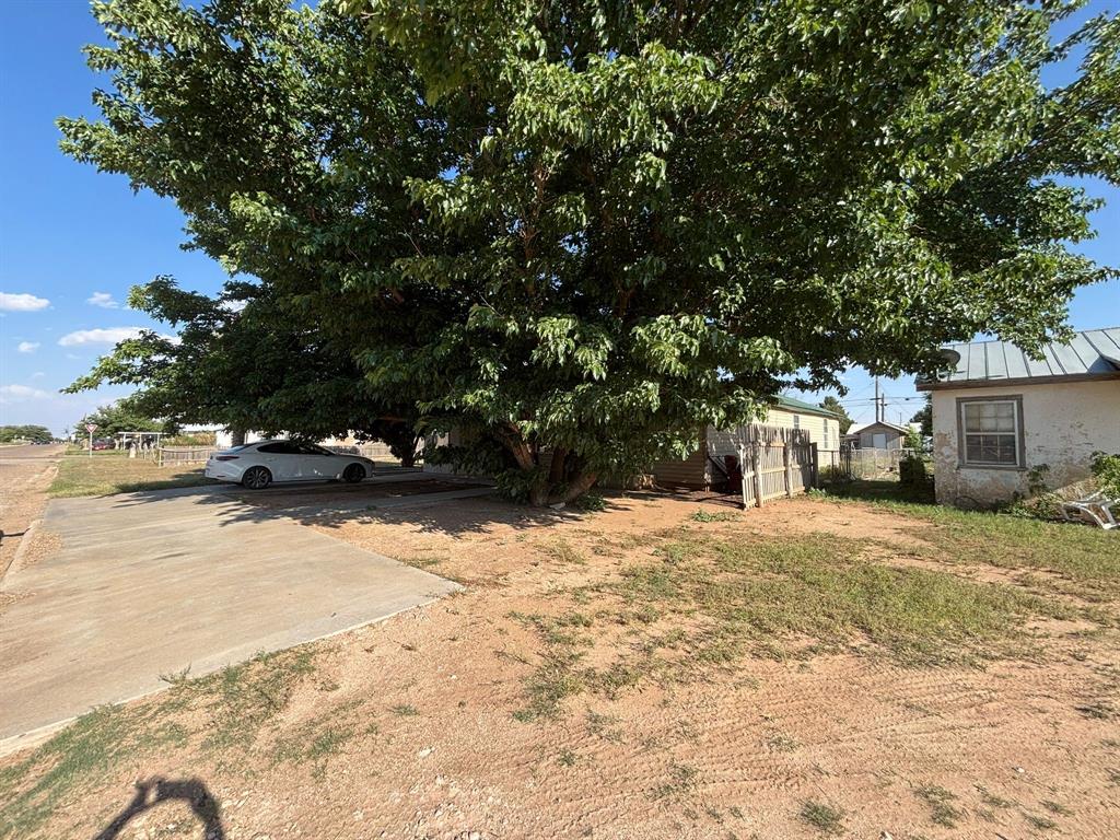 1205 14th Street, Seagraves, Texas image 3