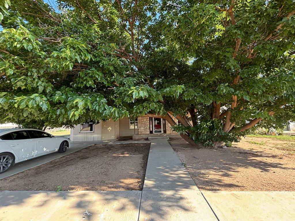 1205 14th Street, Seagraves, Texas image 2