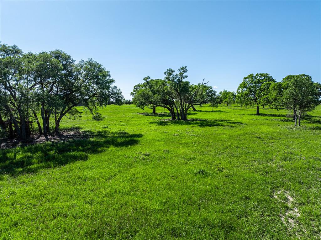 2839 Schoenst Road Rd, Carmine, Texas image 6