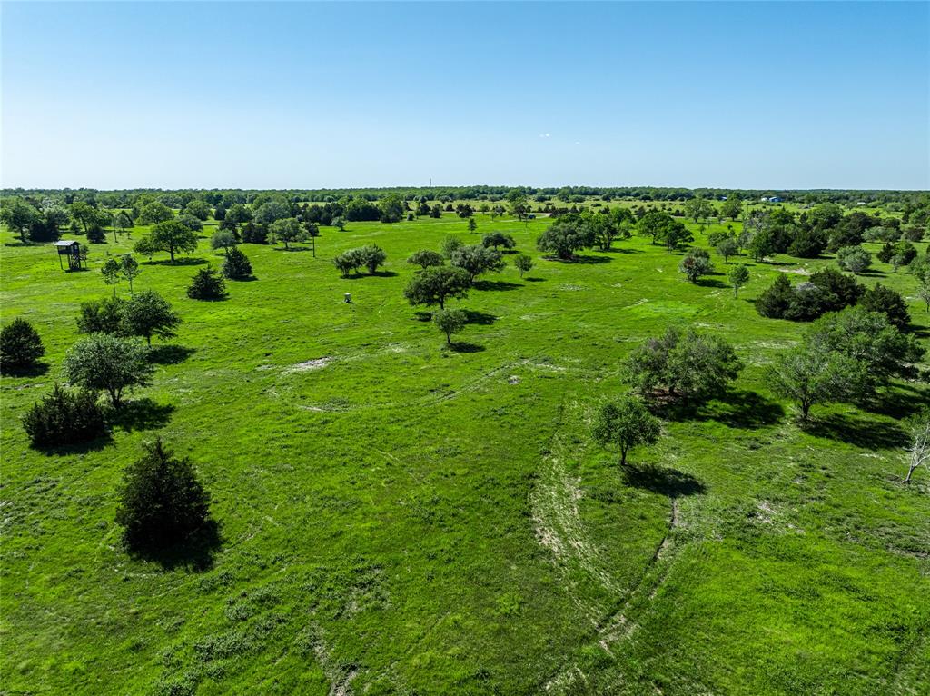 2839 Schoenst Road Rd, Carmine, Texas image 7