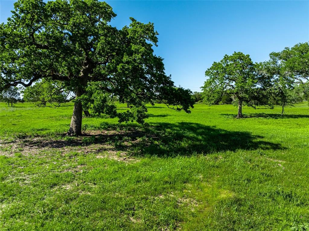 2839 Schoenst Road Rd, Carmine, Texas image 8