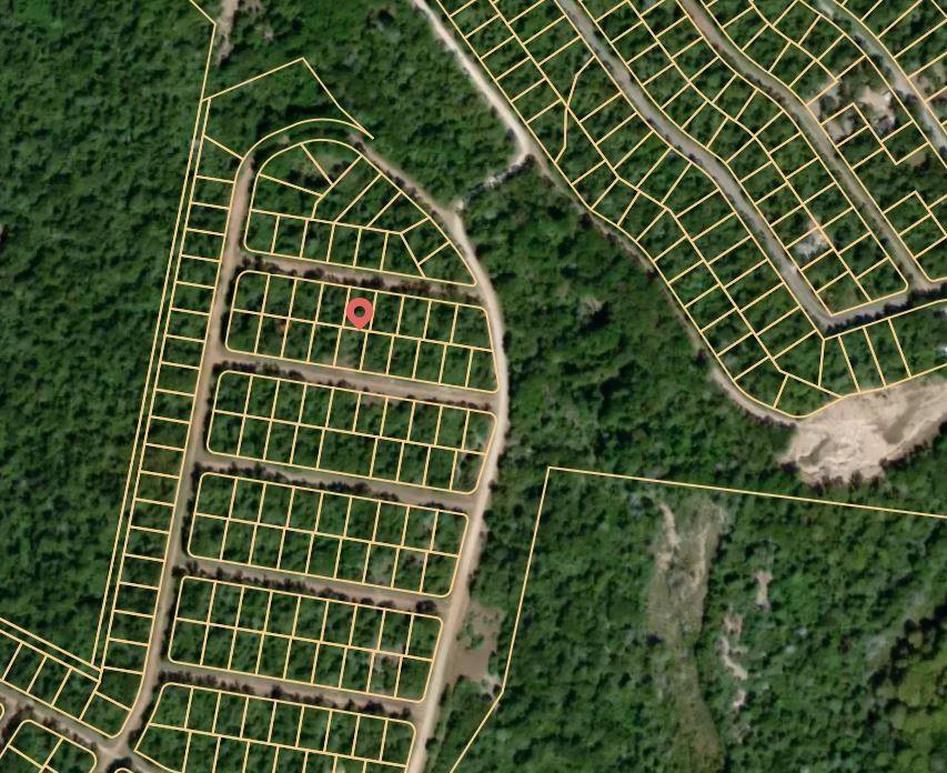 Lot 15 Travis Lane, Normangee, Texas image 3