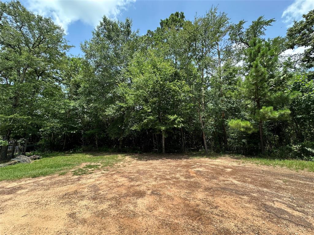 Lot 5 Youpon Drive