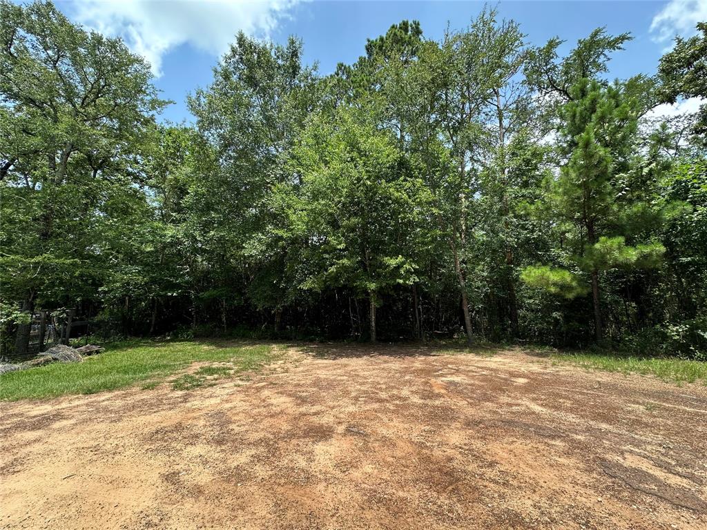 Lot 5 Youpon Drive
