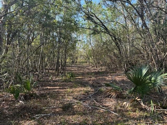 800 County Road 282, Sargent, Texas image 7