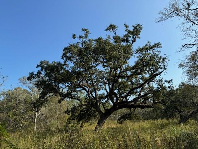 800 County Road 282, Sargent, Texas image 1