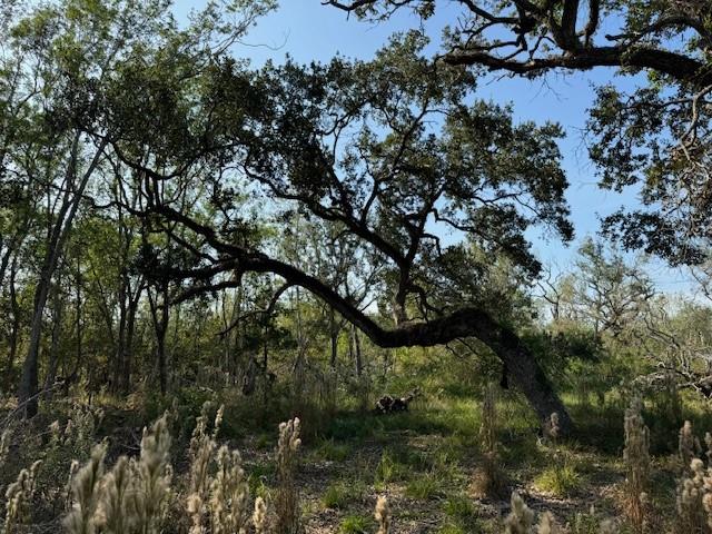 800 County Road 282, Sargent, Texas image 4