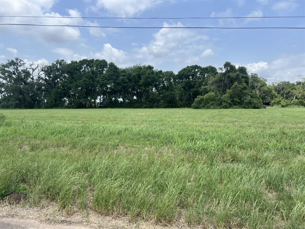 130 Pony Trail Trail, Angleton, Texas image 3