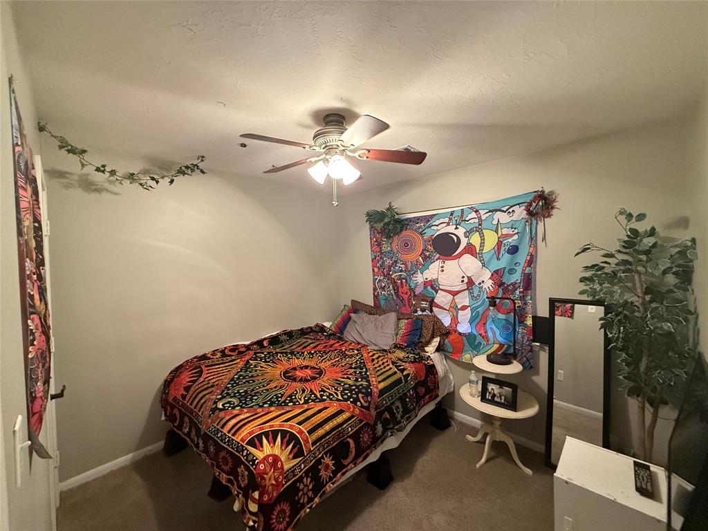 207 Leisure Lane, Montgomery, Texas image 14