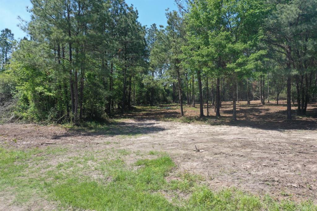 11 Ellis Spring Road, Trinity, Texas image 9