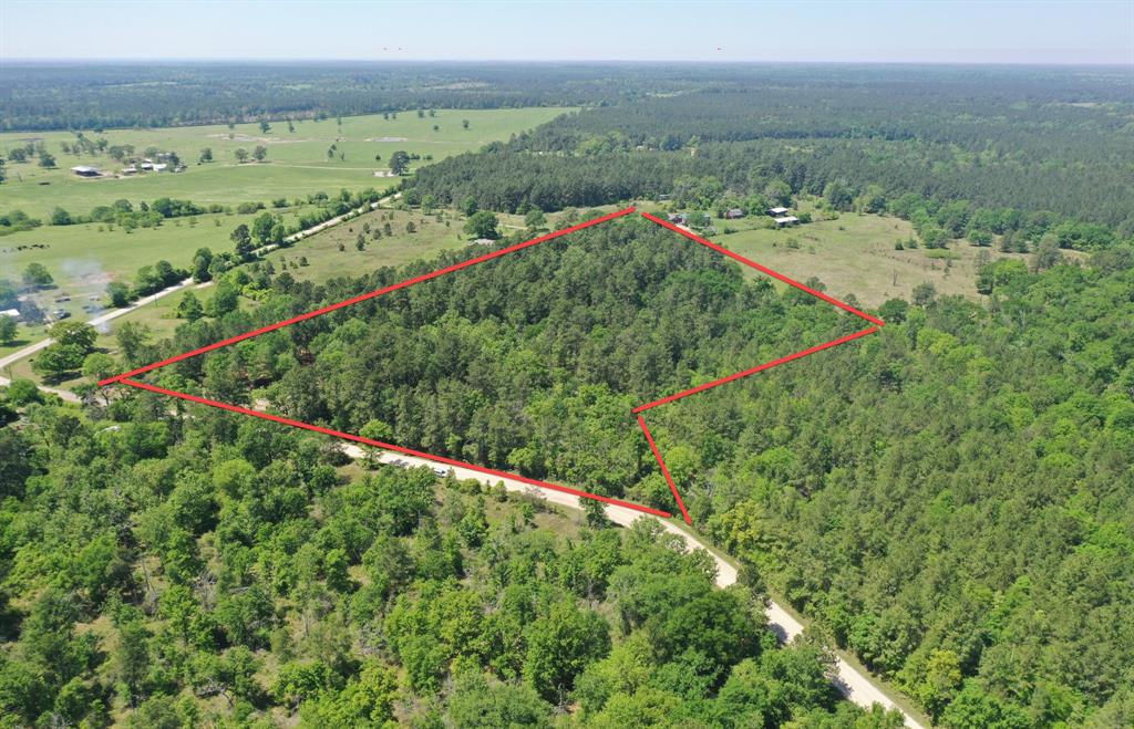 11 Ellis Spring Road, Trinity, Texas image 2