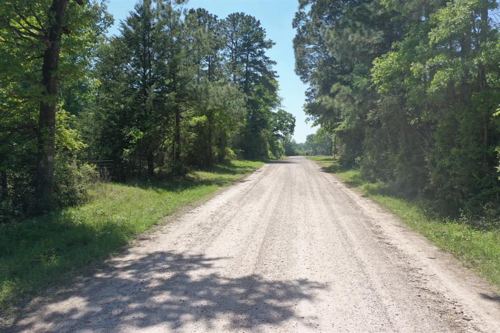 11 Ellis Spring Road, Trinity, Texas image 8