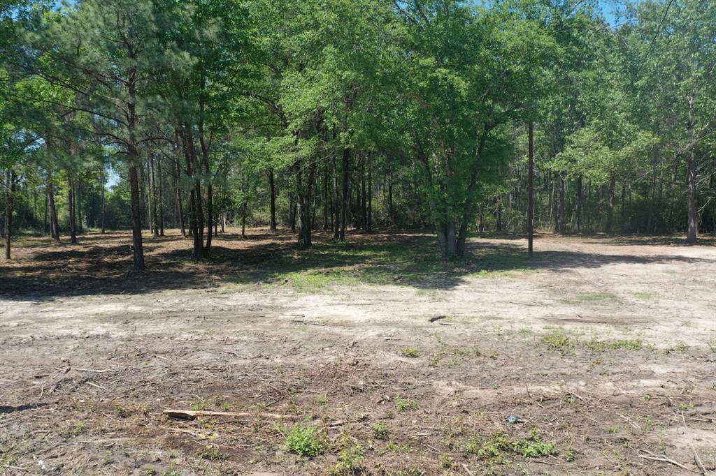 11 Ellis Spring Road, Trinity, Texas image 12