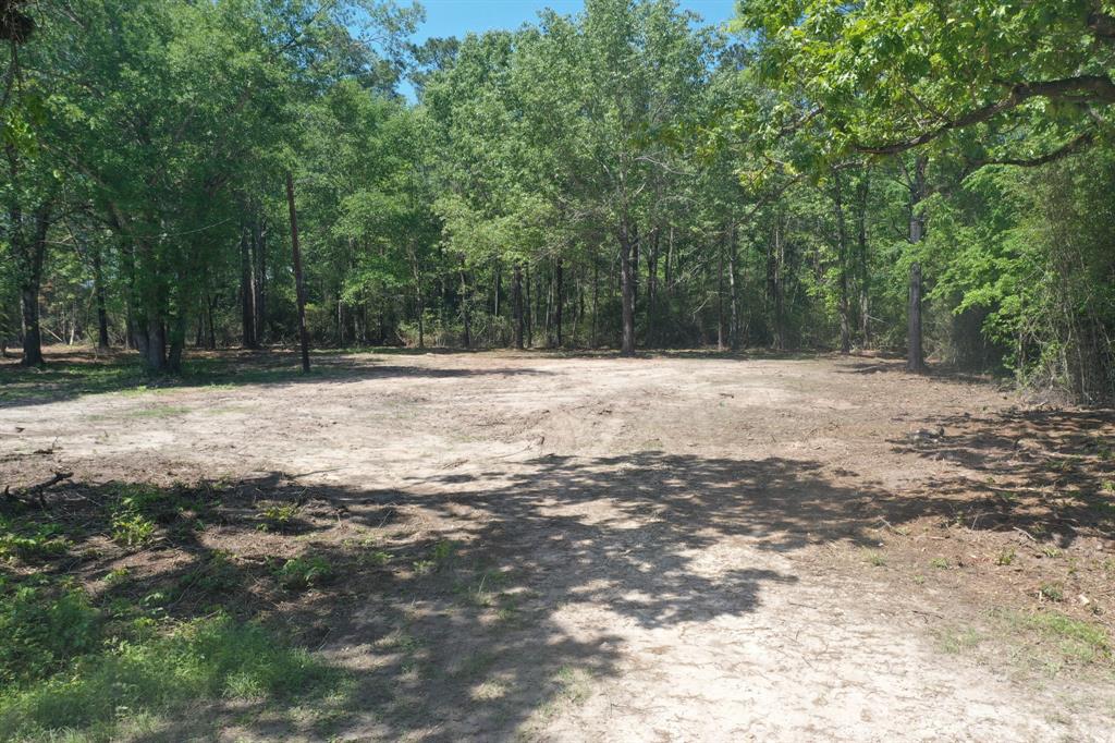 11 Ellis Spring Road, Trinity, Texas image 10