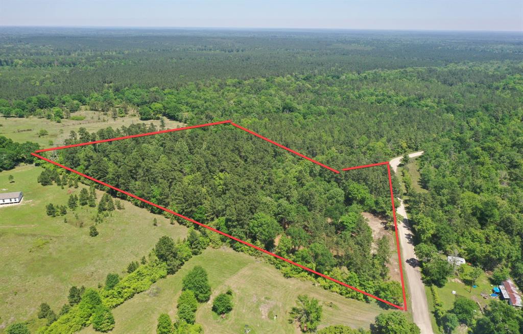 11 Ellis Spring Road, Trinity, Texas image 1