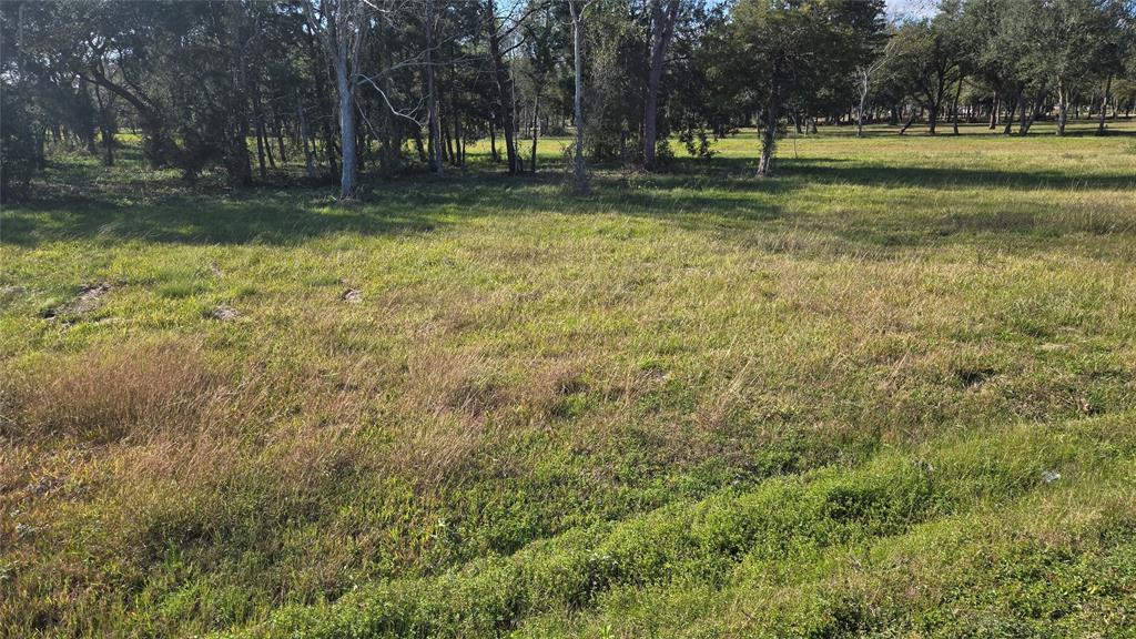 3828 County Road 326, Alvin, Texas image 3