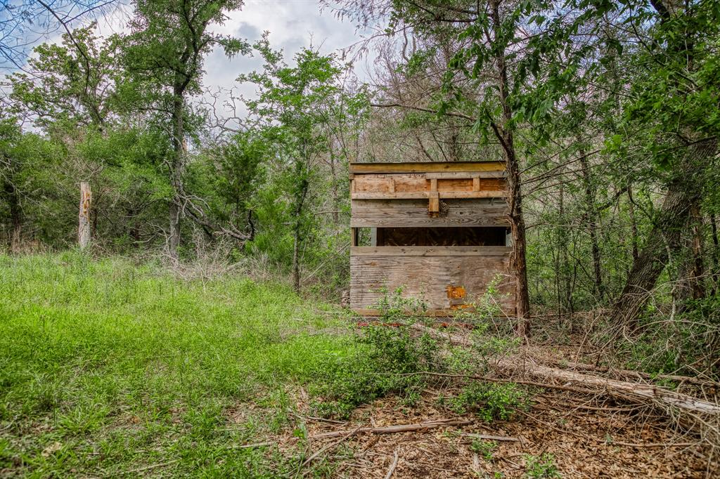 1136 Private Road 4291, Dime Box, Texas image 20