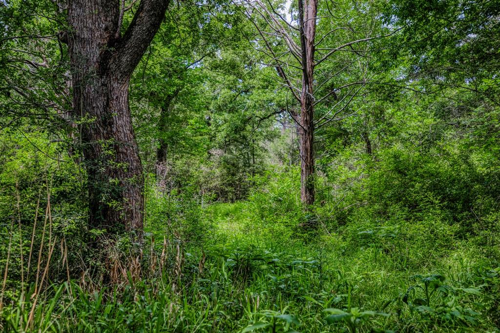 1136 Private Road 4291, Dime Box, Texas image 23