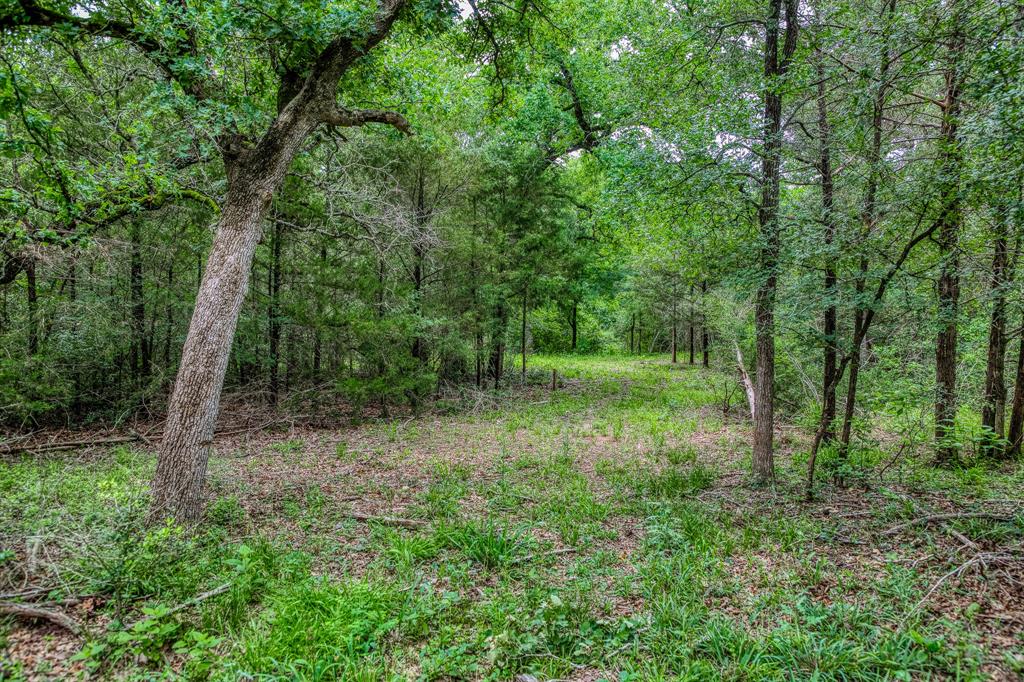 1136 Private Road 4291, Dime Box, Texas image 21