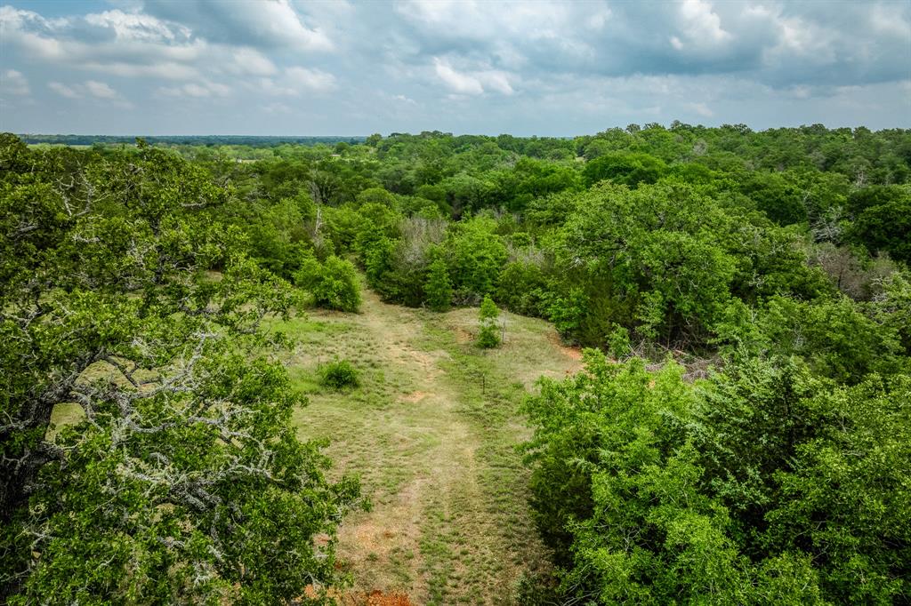1136 Private Road 4291, Dime Box, Texas image 25