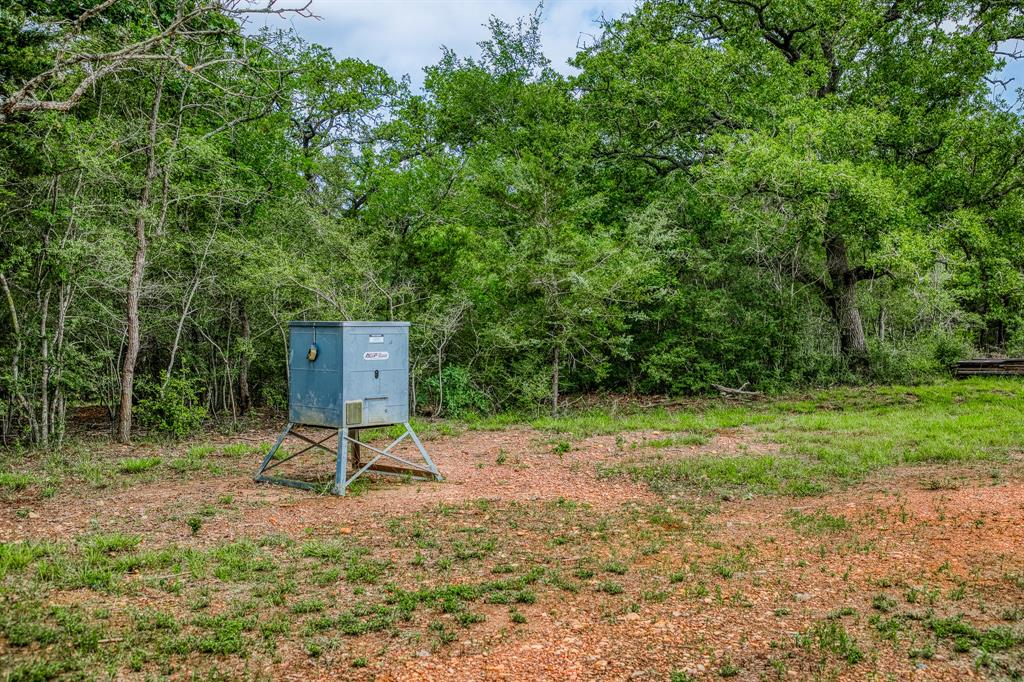 1136 Private Road 4291, Dime Box, Texas image 10