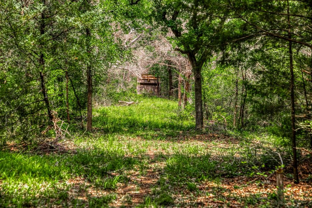 1136 Private Road 4291, Dime Box, Texas image 17