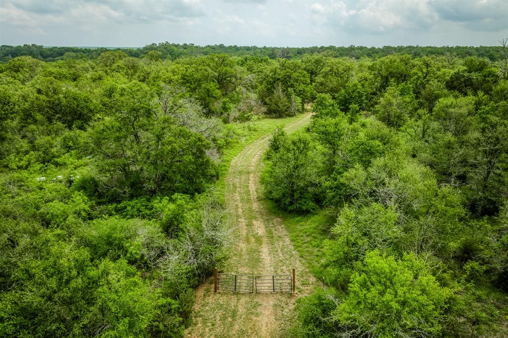 1136 Private Road 4291, Dime Box, Texas image 1