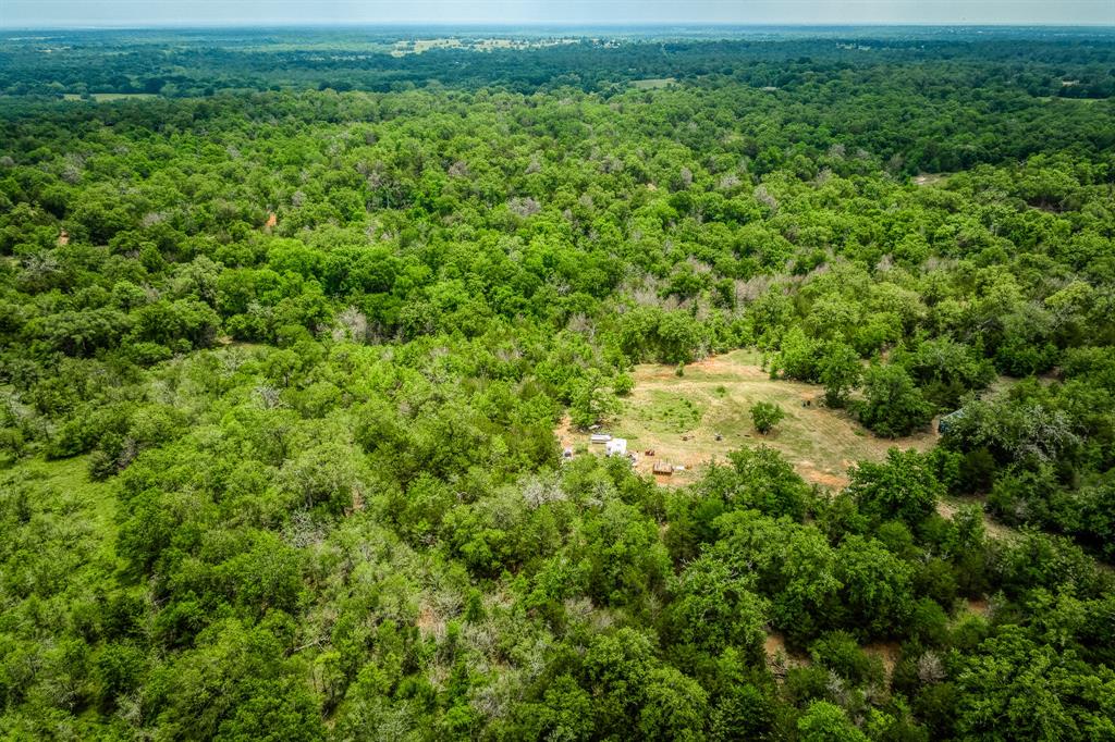 1136 Private Road 4291, Dime Box, Texas image 30