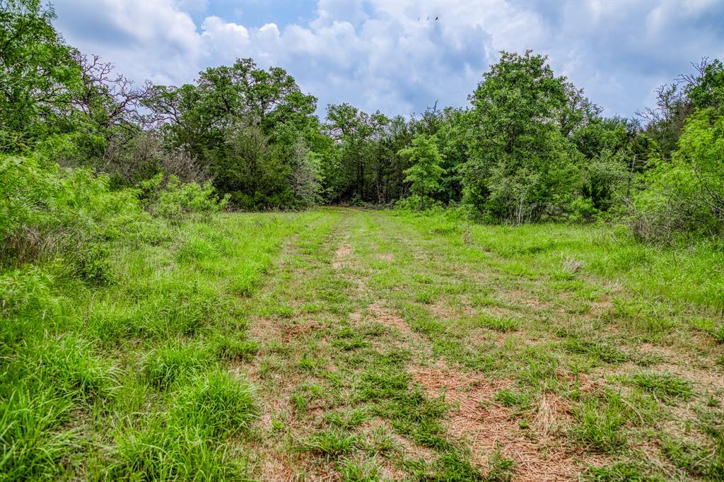 1136 Private Road 4291, Dime Box, Texas image 28