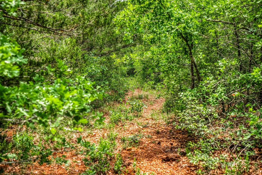 1136 Private Road 4291, Dime Box, Texas image 15
