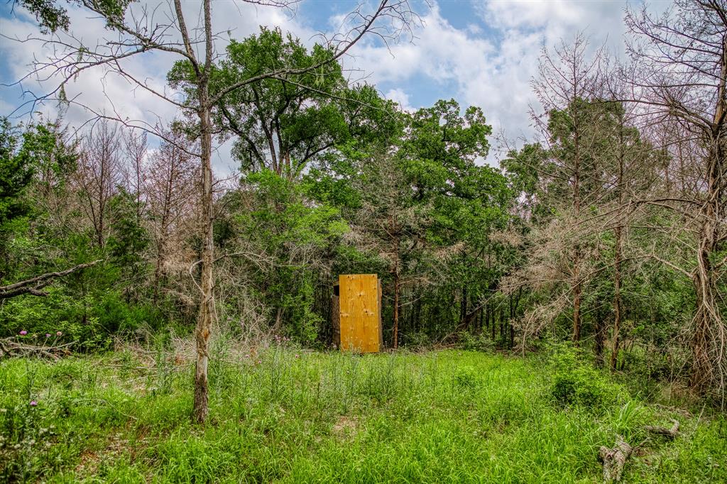 1136 Private Road 4291, Dime Box, Texas image 11
