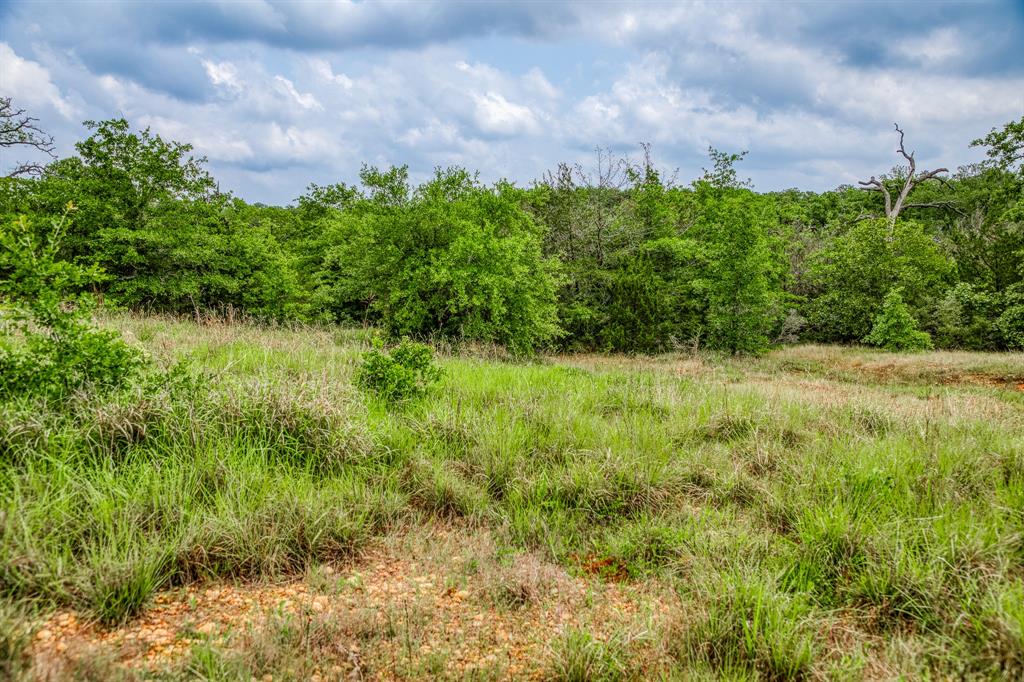 1136 Private Road 4291, Dime Box, Texas image 13