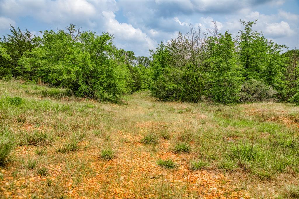 1136 Private Road 4291, Dime Box, Texas image 12