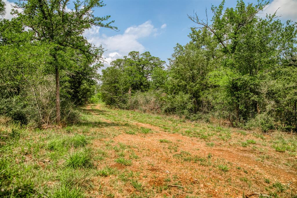 1136 Private Road 4291, Dime Box, Texas image 24