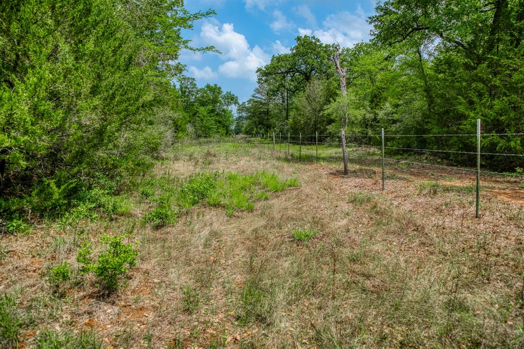 1136 Private Road 4291, Dime Box, Texas image 14